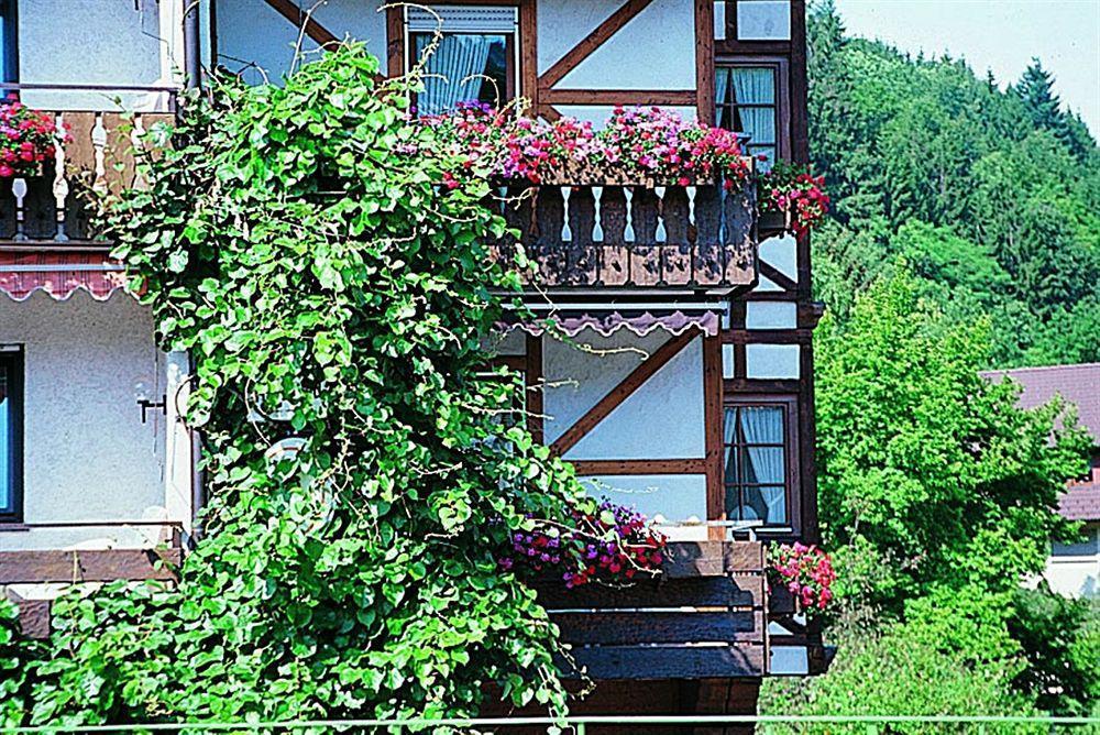 Hotel Hirsch Бад-Петерсталь-Ґрісбах Екстер'єр фото